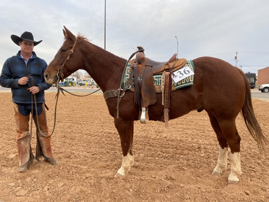 WRCA Working Ranch Cowboys Association - Wow, we're thrilled and