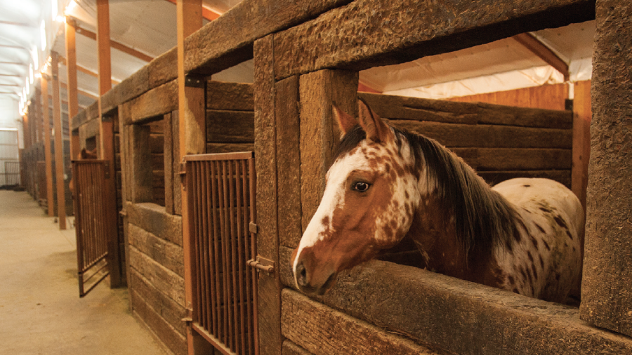heavy duty stalls