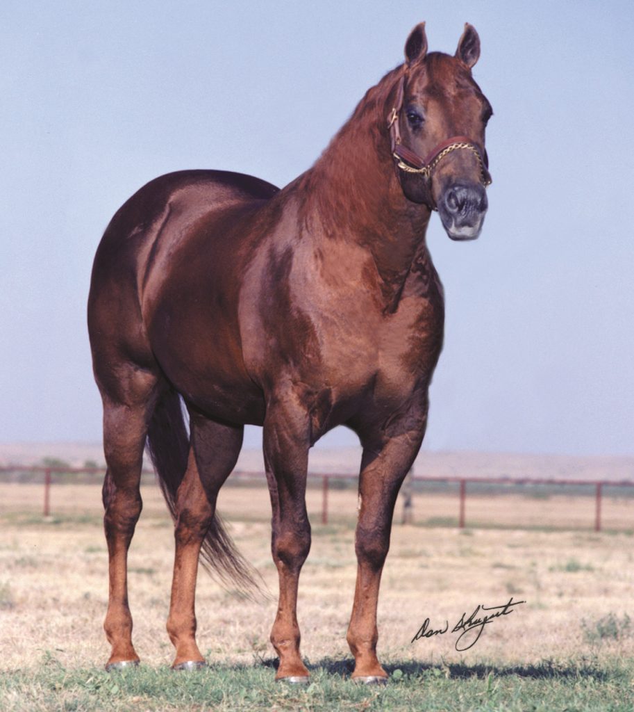 Number 10 of the top ranch horse bloodlines, Tanquery Gin