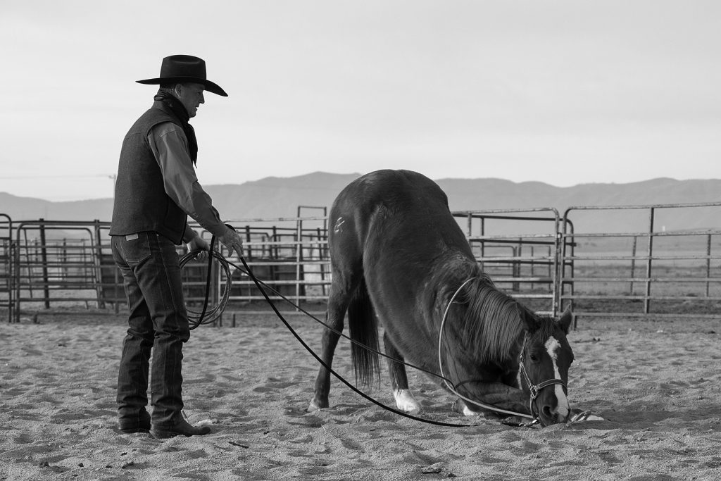 Cowboy Hat and Rope on a Fence Photograph by American West Legend