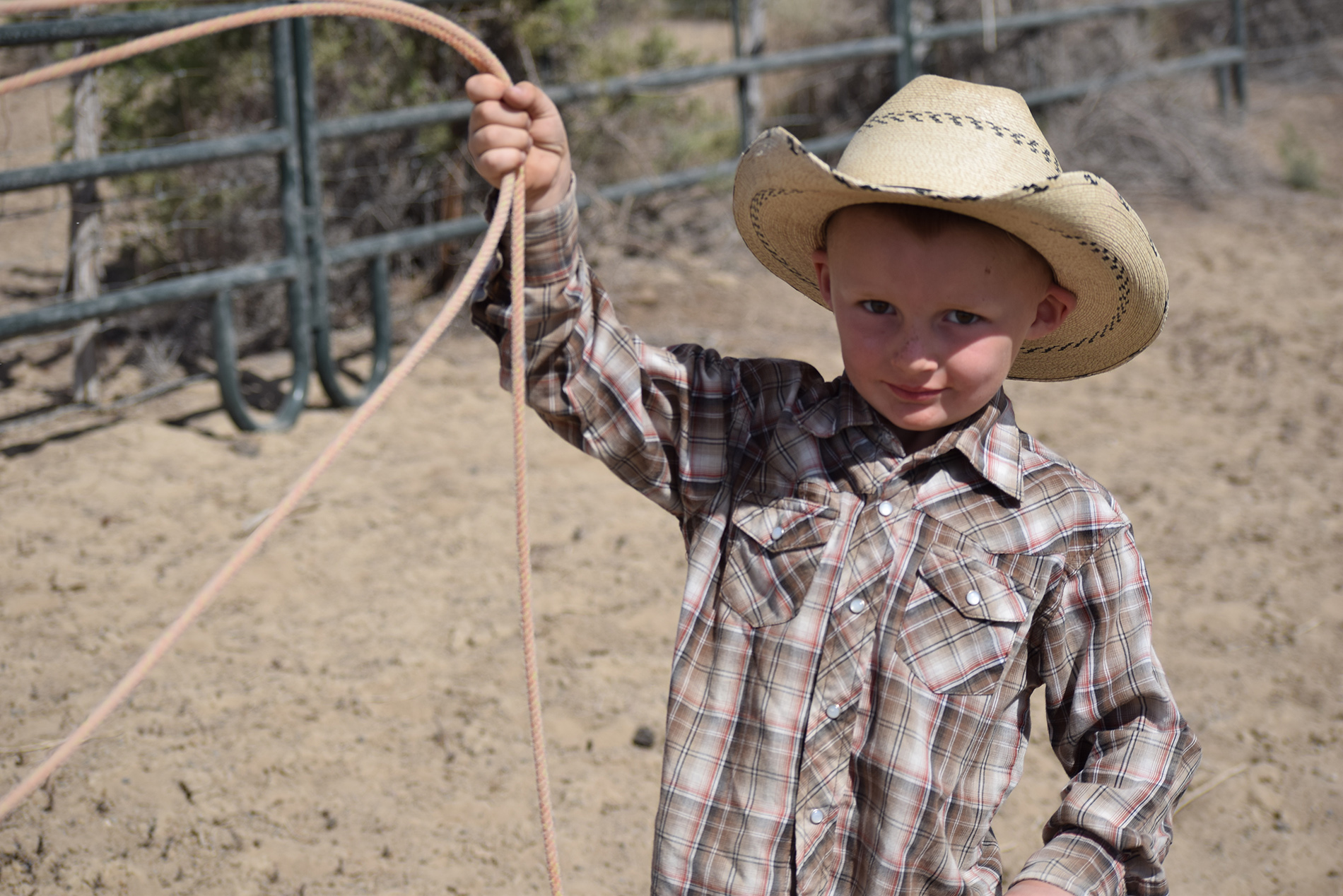 Perks of Raising Little Cowboys - Western Horseman