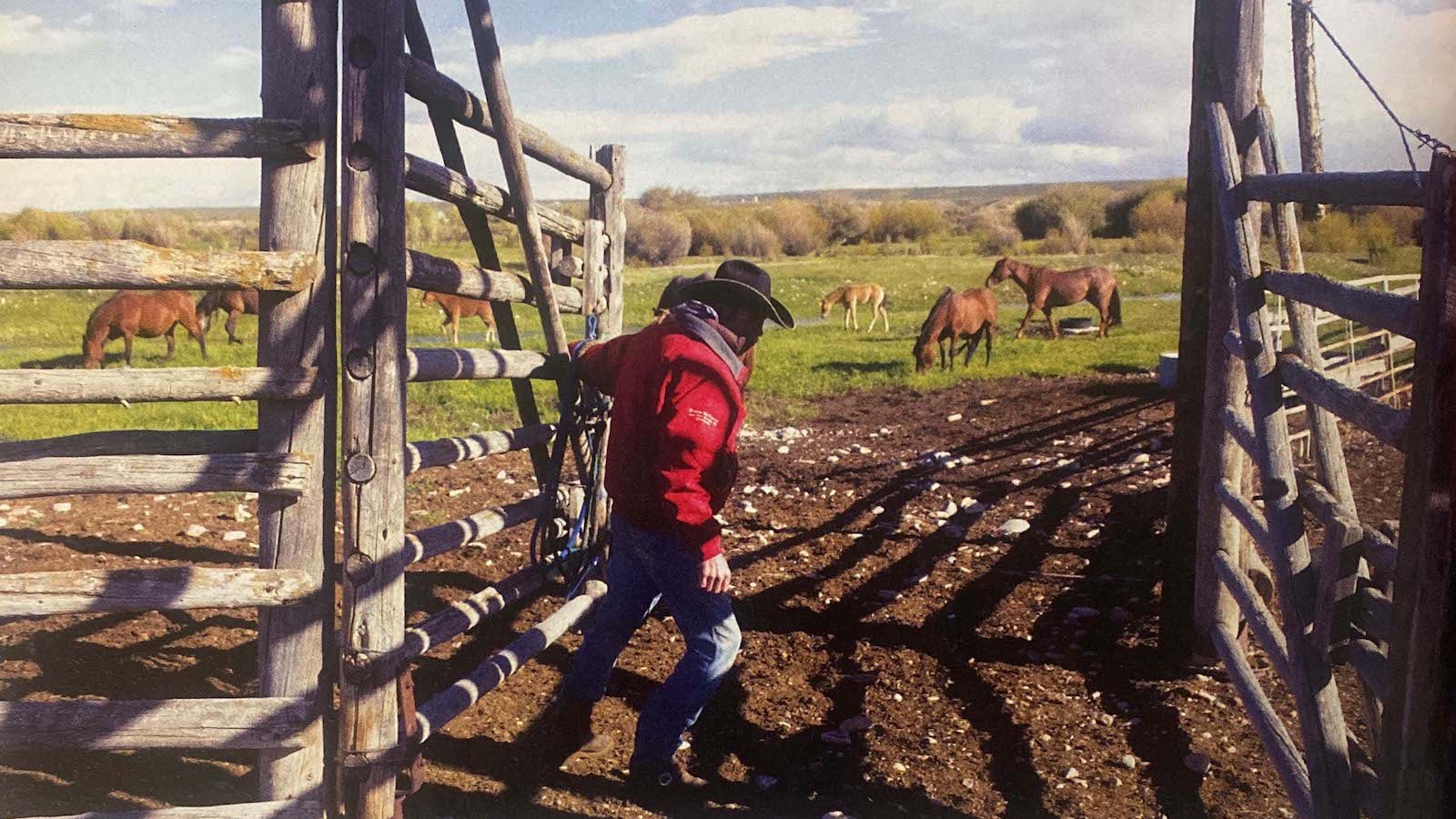 Mike Miller closing the gate at his Wyoming ranch.