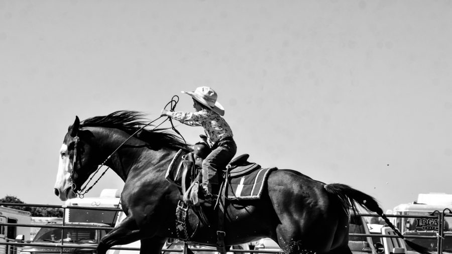 When you ride, focus on achieving lightness in your horse.