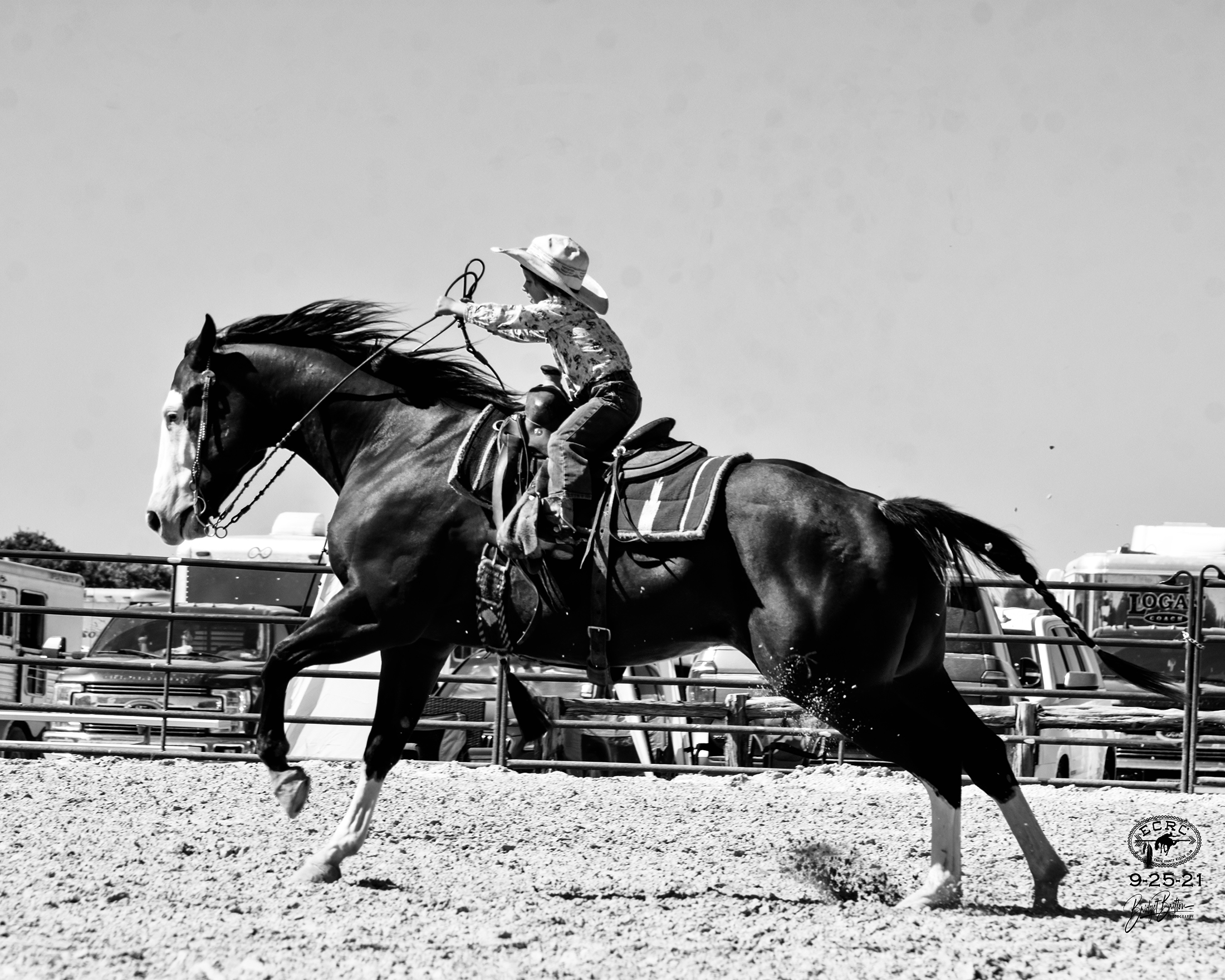 When you ride, focus on achieving lightness in your horse.