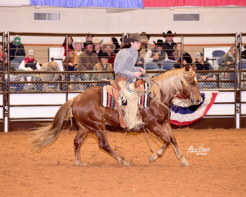 Consigner showing gelding at 2018 Invitational Ranch Horse Sale