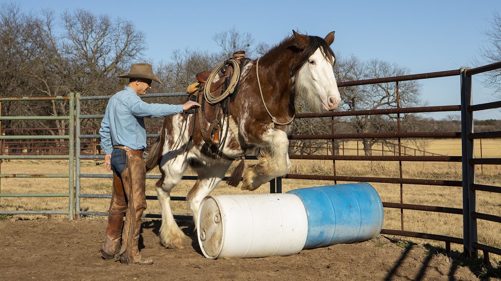 Ty Murray and Sioux jumping a barrel.