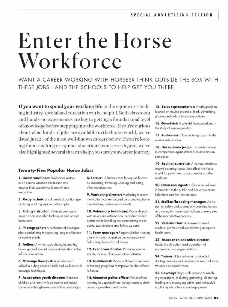 25 popular jobs with horses.