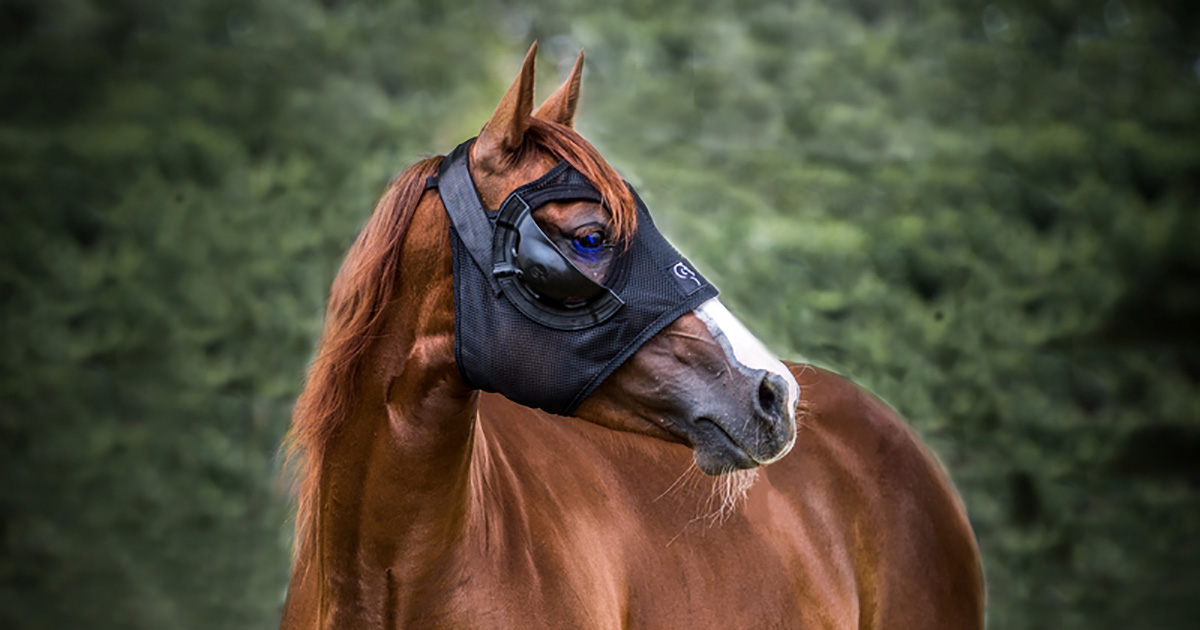 equilume equine mask