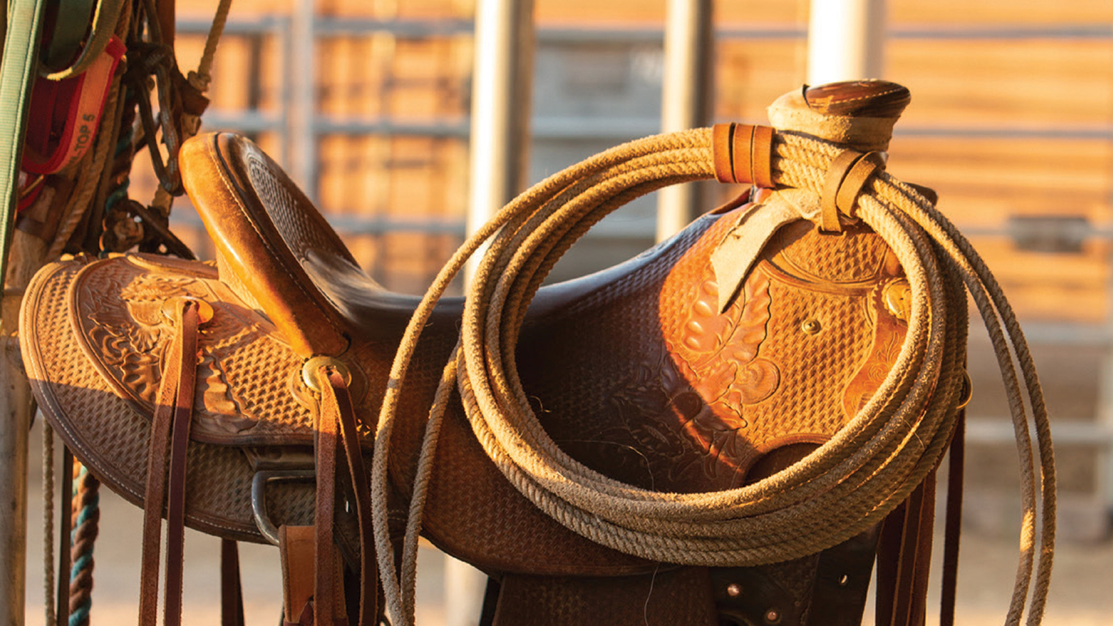 wade saddle and rope