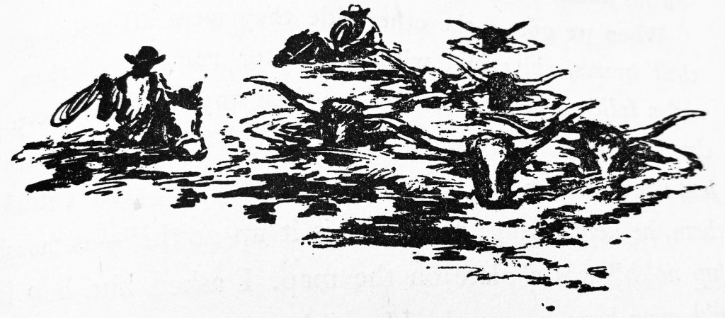 cowboys swimming cattle across river illustration by Ross Santee