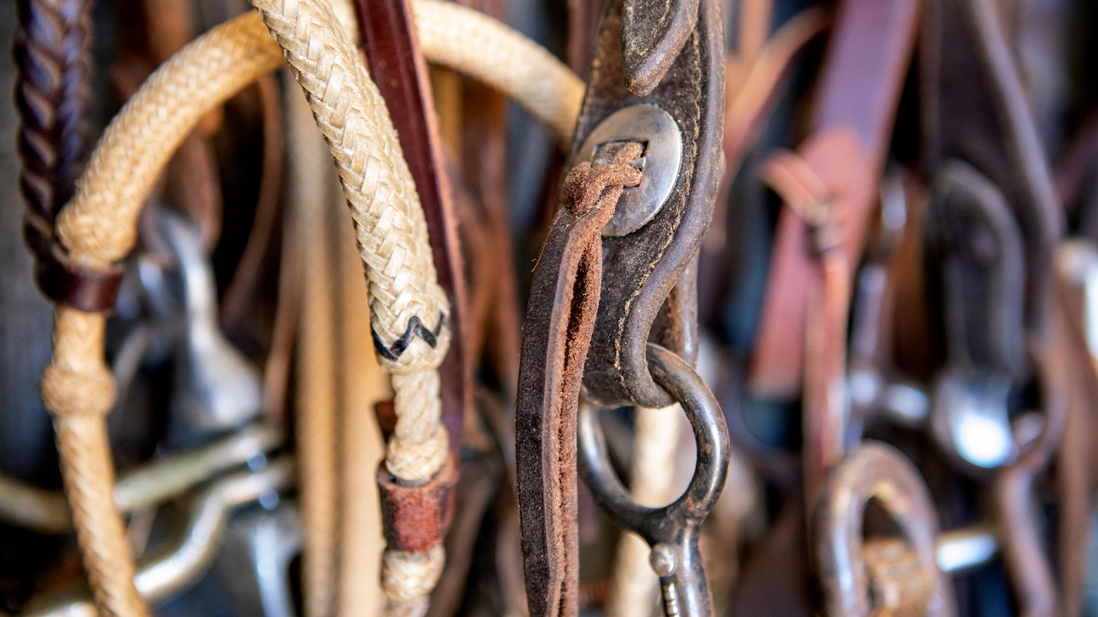 Blood knot on a bridle