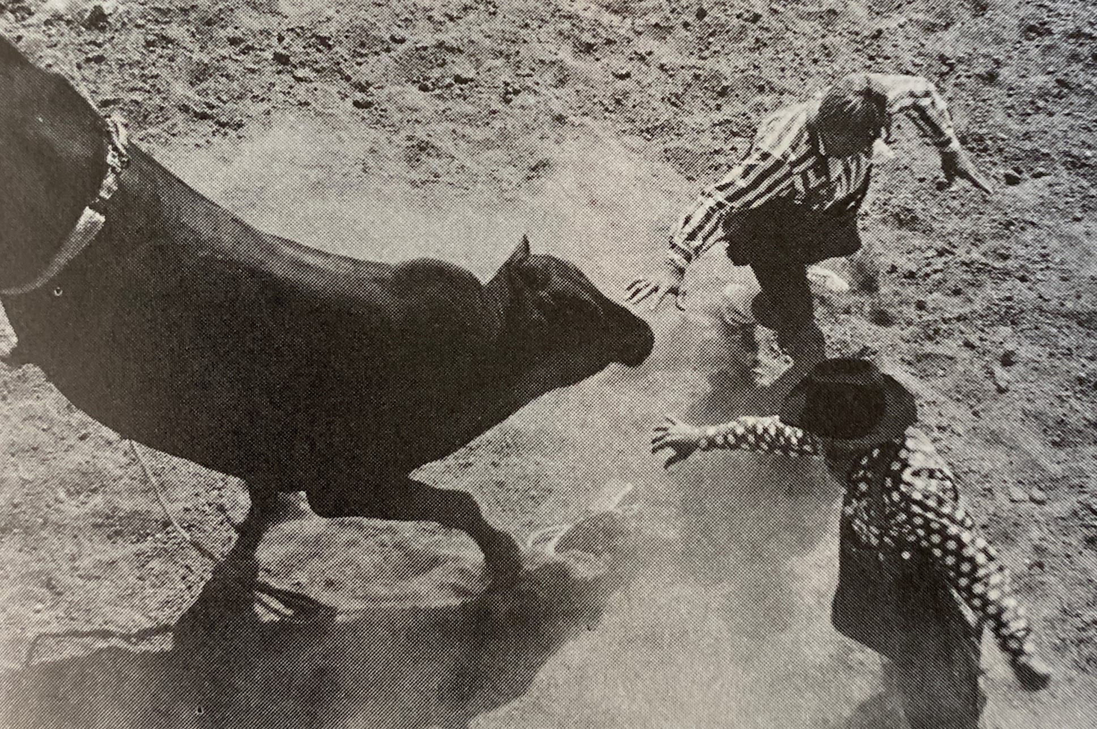 Clowns distracting a bull.