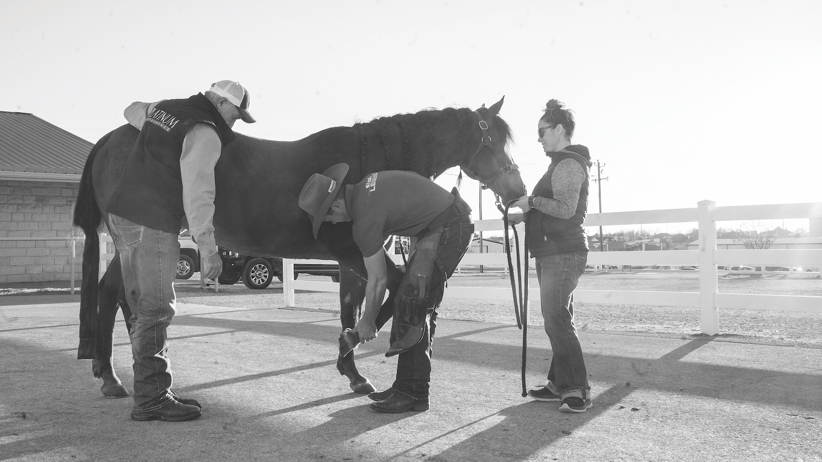 Veterinarian and farrier team.