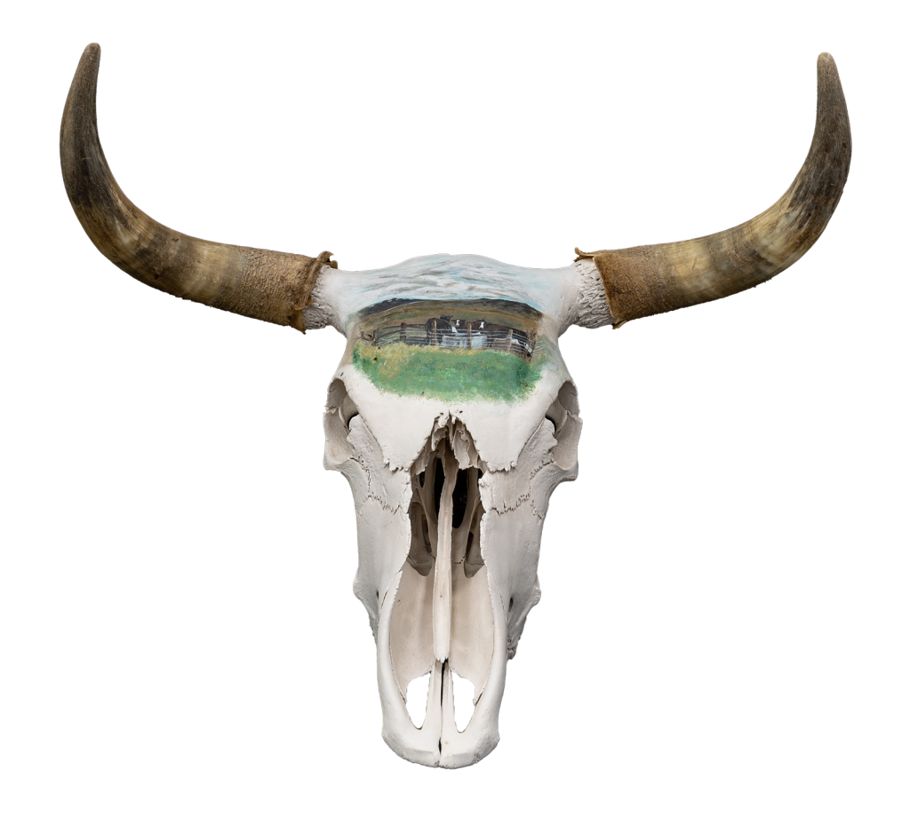 Painted cow skull.