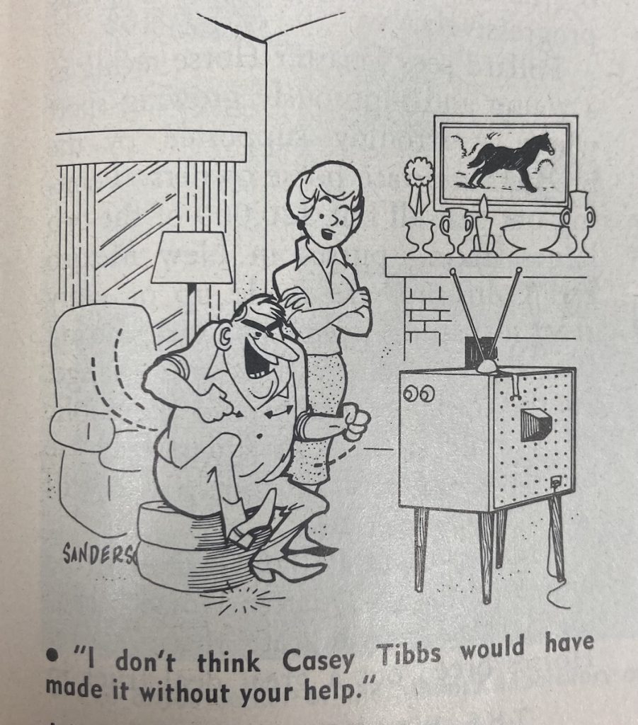 Casey Tibbs comic
