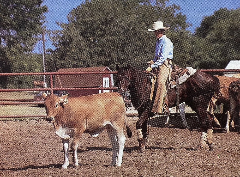 Barbra Schulte explains one of the finer points in the game of cutting—when and how to stop working a cow.