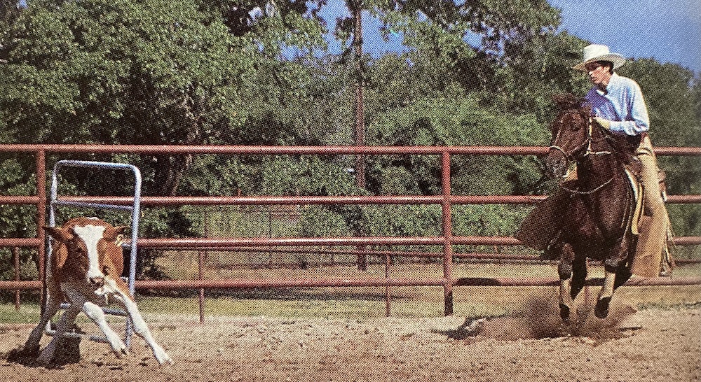 Barbra Schulte explains one of the finer points in the game of cutting—when and how to stop working a cow.