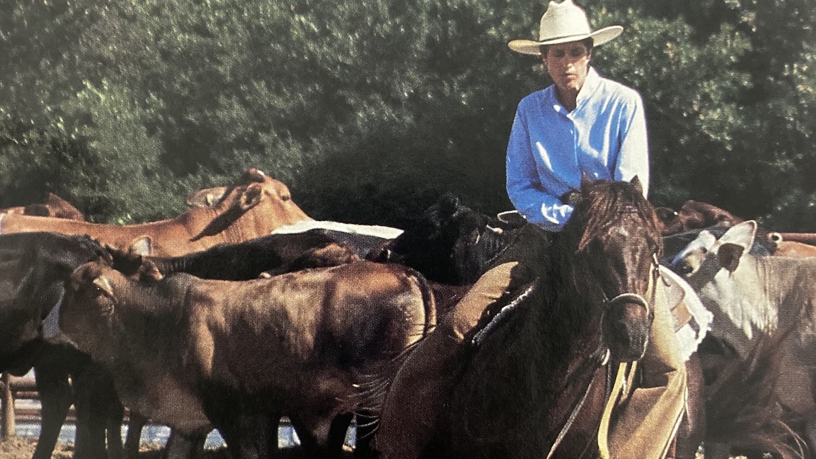Barbra Schule explains one of the finer points in the game of cutting-when and how to stop working a cow.