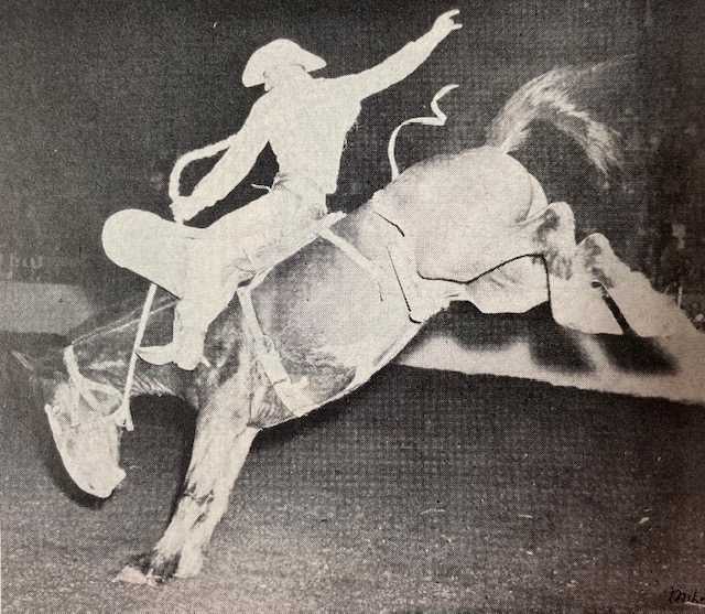 Idaho has regularly produced outstanding rodeo cowboys. It's doubtful, however, if it has ever produced a better cowboy than Bob A. Robinson.