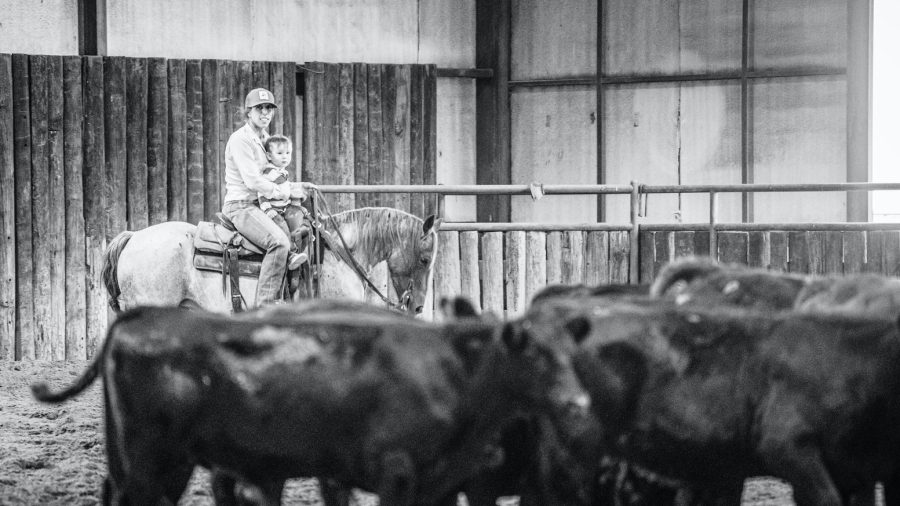 When horses are a part of your identity, there will always be challenges and the opportunities to gain and impart wisdom.
