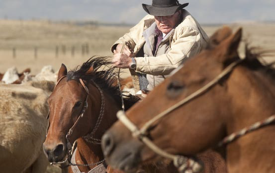 Types of Cowboys - Western Horseman