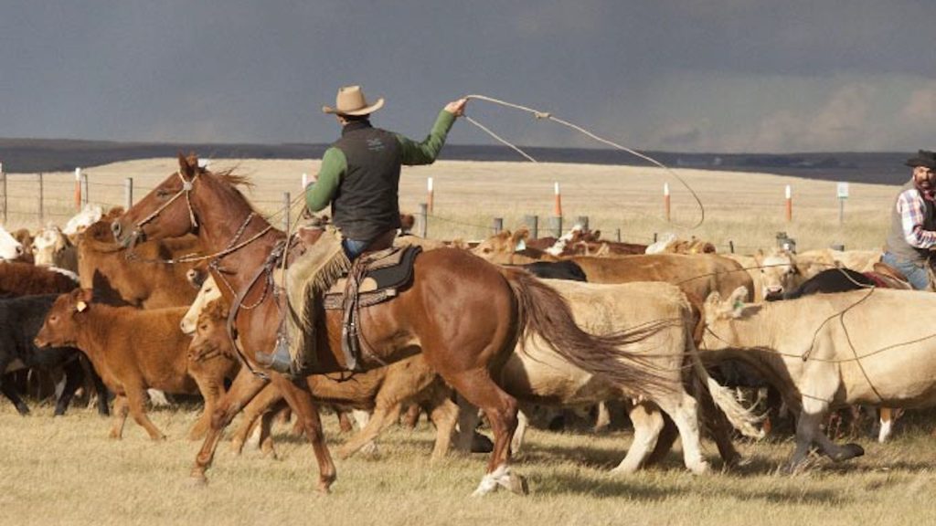 How Yellowstone's Extensive Cast of Cowboys, Cattle Ranchers, and Native  Americans Came Together