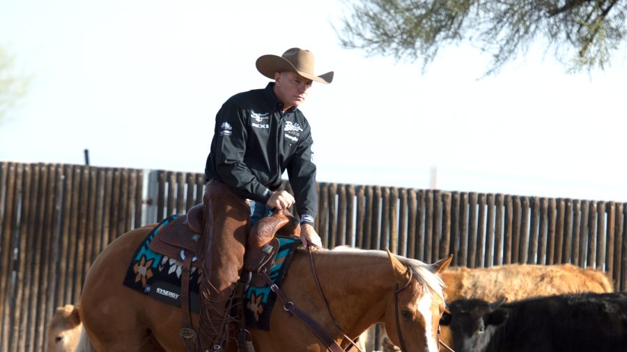 Working Cow Horse in Weaver Leather