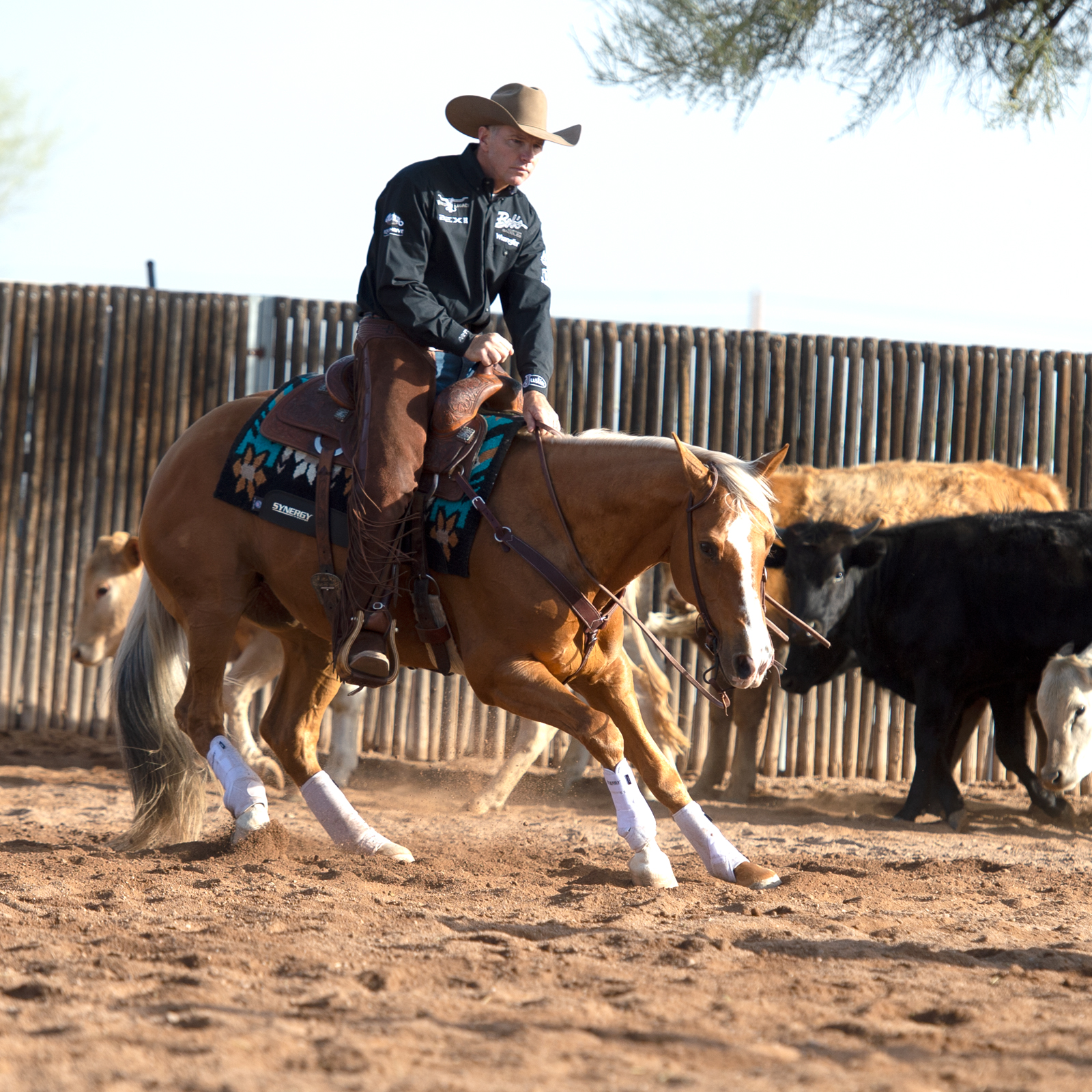 July's Gear of the month: Weaver Leather - Western Horseman