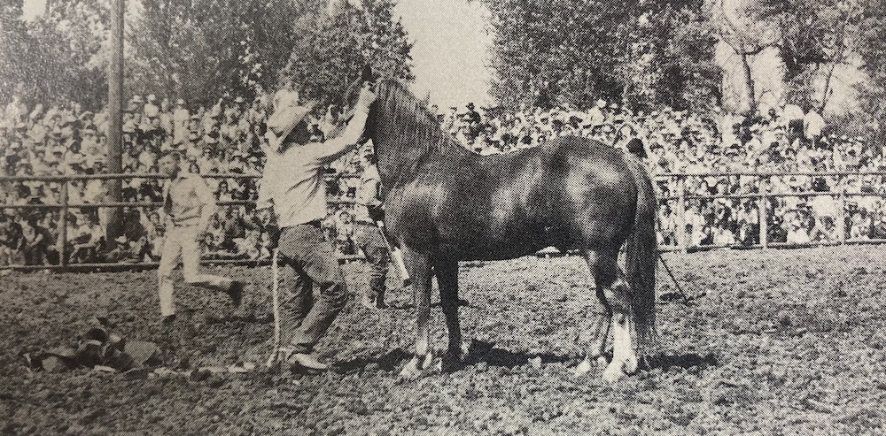 The rodeo world calls him J.C. Bonine and he's one of the most popular men in rodeo, riding the toughest saddle broncs in the rodeo business.