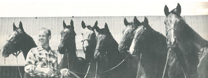 Known as the "Iron Horse," Clabber not only passed along his speed and durability to his offspring but his true grit and competitive spirit.