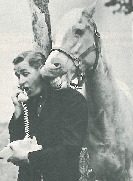 We have gathered several of our favorite horses, stories and memories from our archives into one place to share.