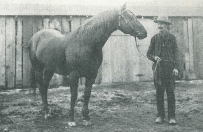 We have gathered several of our favorite horses, stories and memories from our archives into one place to share.