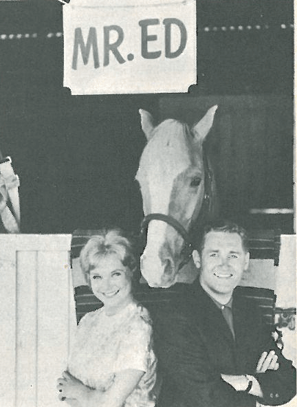 We have gathered several of our favorite horses, stories and memories from our archives into one place to share.