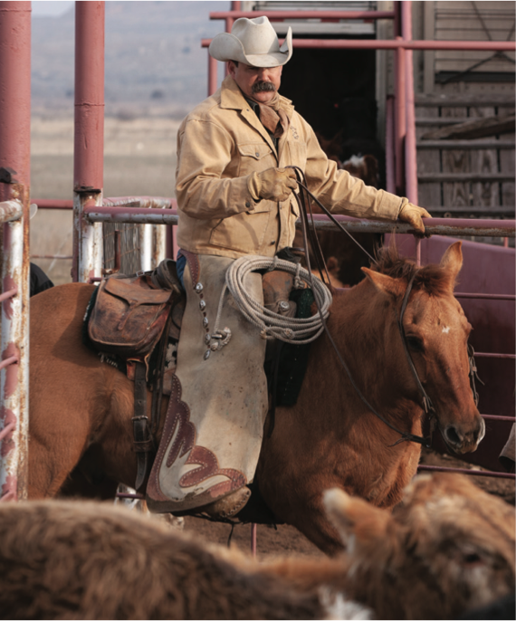 With the great cowboys of the West comes a rich history of their horses and the tack they found worthy to use.