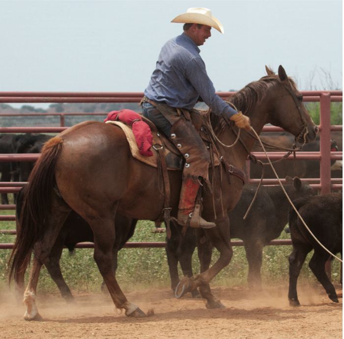 With the great cowboys of the West comes a rich history of their horses and the tack they found worthy to use.