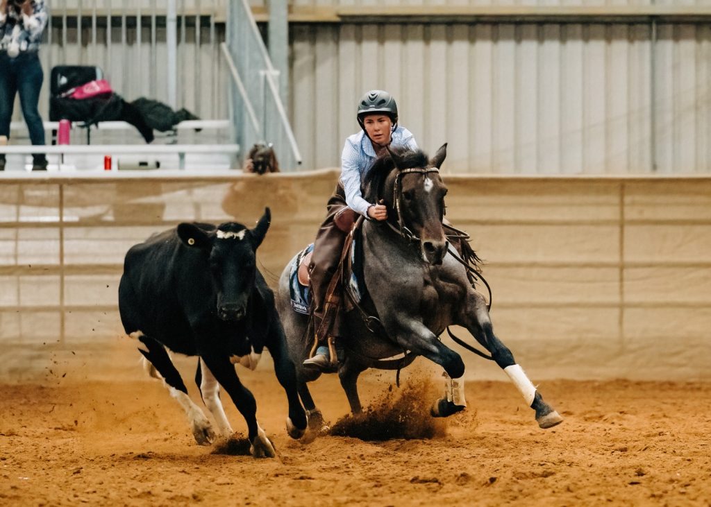 Ella Hazlett topped the Junior Australian World’s Greatest Horsewoman not once but twice, claiming both the inaugural and most recent titles.