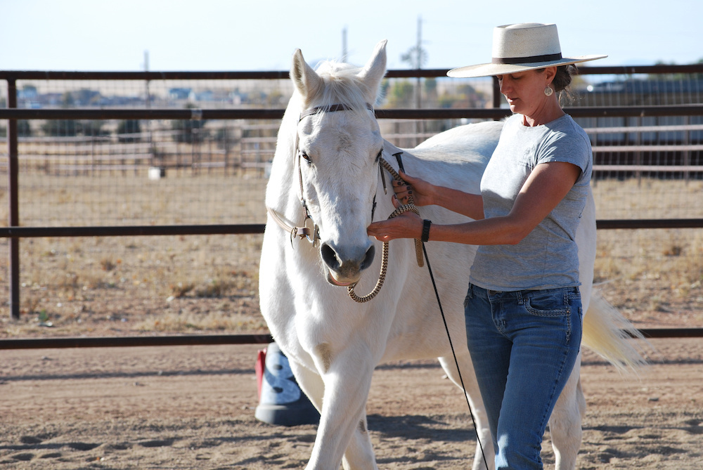 Learn how to teach an advanced movement from the ground. This advanced groundwork exercise is sure to help you and your horse.
