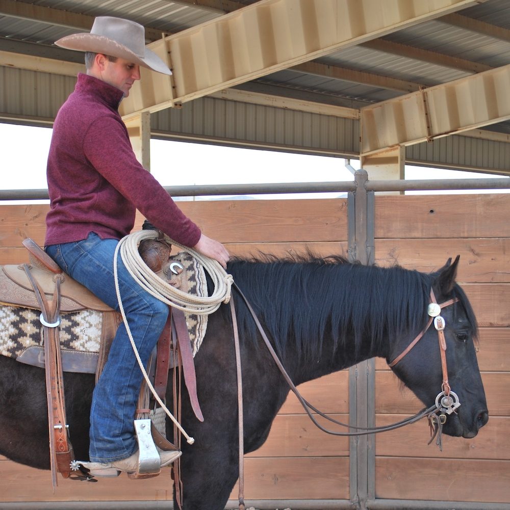 When unexpected wildlife encounters take place in a natural space, help your horse learn to look to you for its next steps.