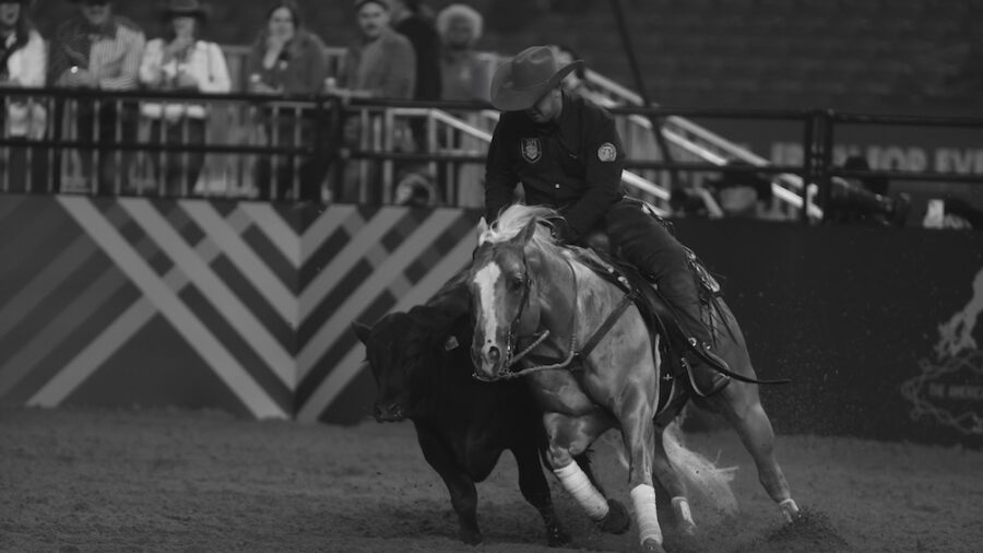 Corey Cushing works the cow during The American Performance Horseman.