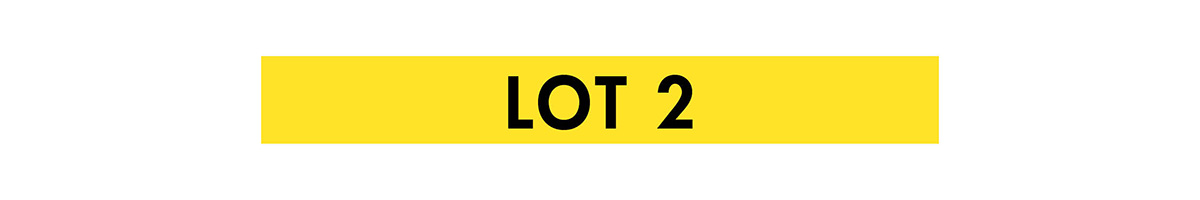 yellow box with black lot 2 label