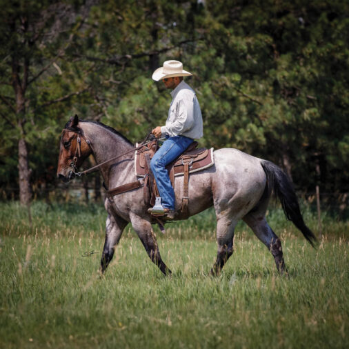 2025 Best Of Individual Category Thumbnails-Colt Starter 2025 Best of Western Horseman: Colt Starters
