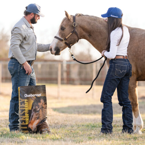 2025 Best Of Individual Category Thumbnails-Feed 2025 Best of Western Horseman: Feed