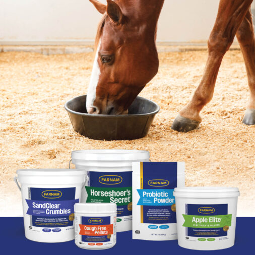 2025 Best Of Individual Category Thumbnails-Horse Care 2025 Best of Western Horseman: Horse Care