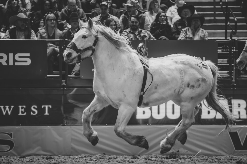Virgil at the 2024 NFR
