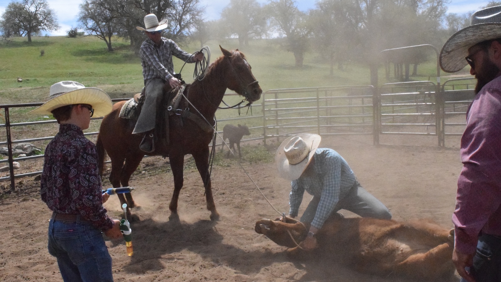 I’m always thankful for good horses to ride, calves to brand, and time spent with family and friends.