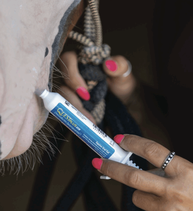 Zoetis Quest Gel