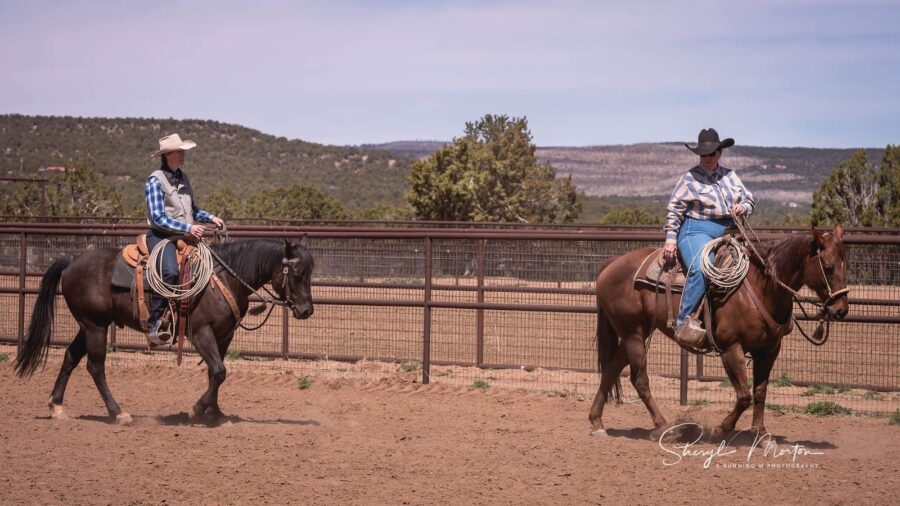 Horsemanship fellowship with Lee Smith Master