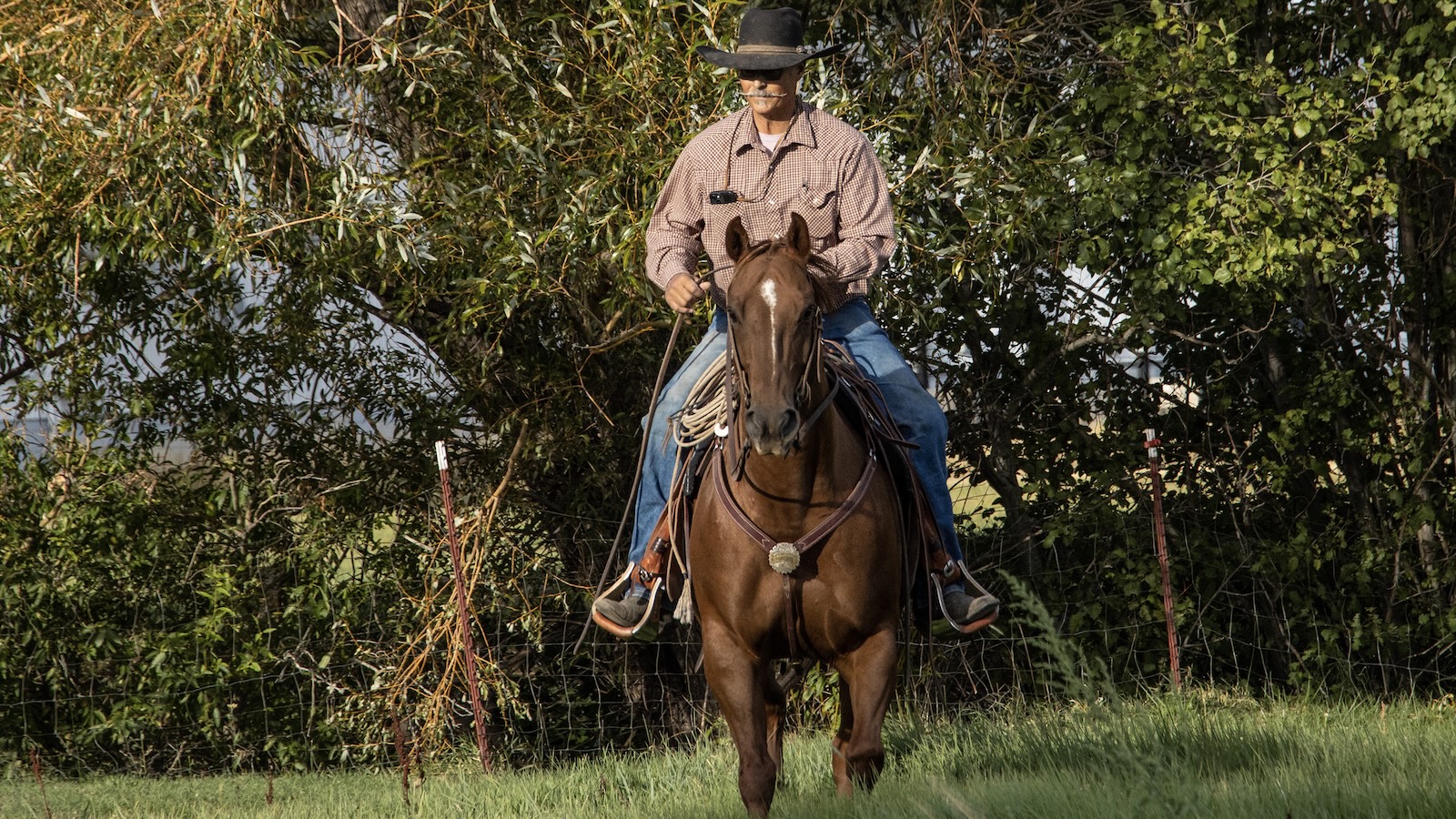 Big Loop Buckaroo - Western Horseman