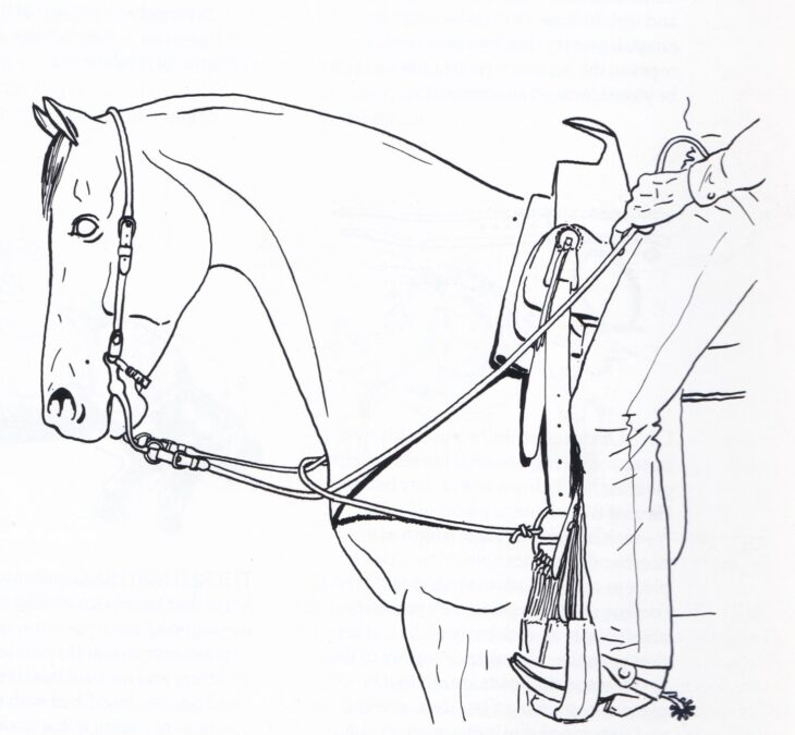 martingale
