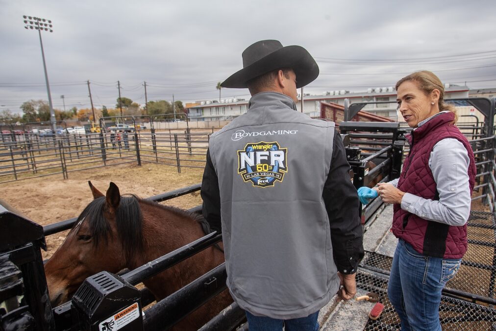 The outbreak threatened to disrupt the Wrangler National Finals Rodeo and many other premier equine events in Las Vegas, Nevada, prompting Leslie Schurr, DVM, to step up strict biosecurity protocols that affected everything from barrel horses to bucking stock. 
